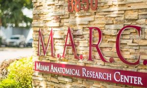 estudos em cadáveres