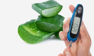 Aloe Vera Diabetes