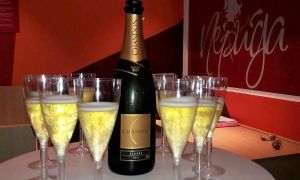 Alunos de Enfermagem Estética concluem curso em tom de comemoração