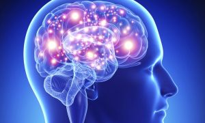 cerebro-saudavel