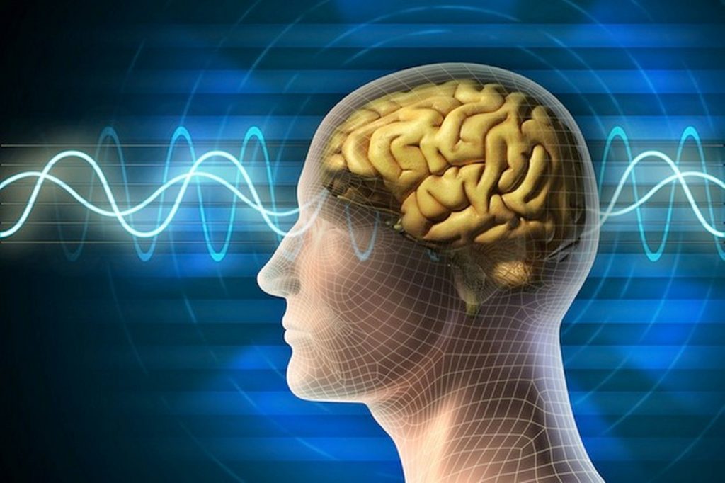 probióticos função cognitiva